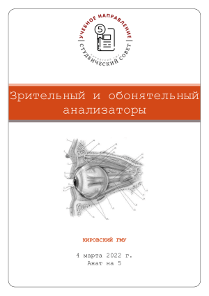 Зрительный и обонятельный анализаторы: презентация по анатомии