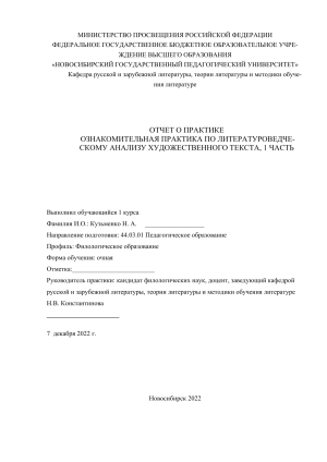 Отчет о практике: Литературоведческий анализ текста