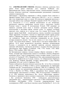 Американский гнилец: описание, диагностика, лечение