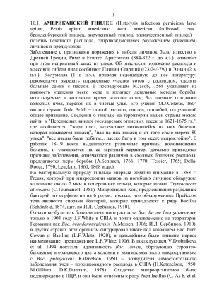 Американский гнилец: описание, диагностика, лечение