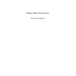 Plant Biochemistry Textbook, 4th Edition