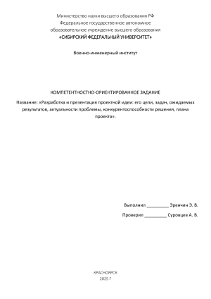 Проект организации проката детских электромобилей