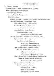 ЭКОЛОГИ Систематика Птицы