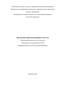 Внедрение информационных систем: Лабораторный практикум