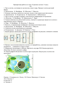 Строение клетки: проверочная работа для 5 класса