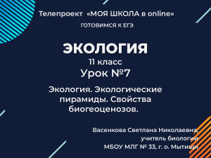 Экологические пирамиды и биогеоценозы: ЕГЭ по экологии