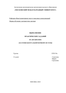 Практические задания по анатомии ЦНС