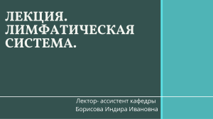 Лимфатическая система: функции, строение, органы | Лекция