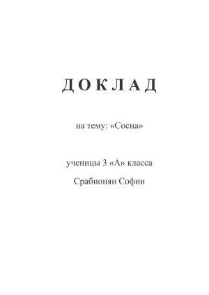 Доклад: Сосна - описание, польза, значение
