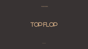 Гайдлайн бренда Top Flop: правила использования логотипа и фирменного стиля