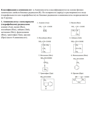 Классификация &alpha;-аминокислот: полярность, заряд, изоэлектрическая точка