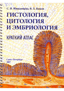 Гистология, цитология, эмбриология: Краткий атлас