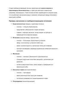 Стадия свободноплавающей личинки характерна для