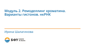 Ремоделлинг хроматина. Варианты гистонов. нкРНК