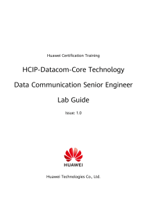 HCIP-Datacom-Core Technology V1.0 Lab Guide
