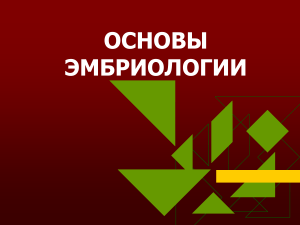 Основы эмбриологии: лекционные материалы
