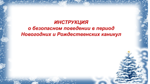Правила безопасности на Новогодние каникулы