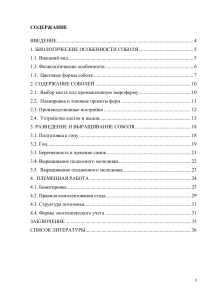 Руководство по разведению соболя: биология и содержание