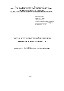 РП.  БЖ 2ПК 32 часов