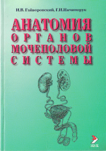 Anatomy of the Urinary Organs Textbook