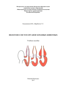Филогенез систем органов хордовых животных