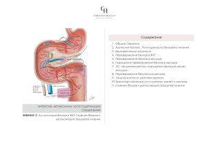 Ассимиляция белков в ЖКТ
