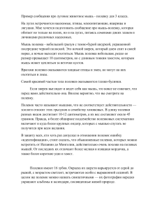 Пример сообщения о мышь-полевке для 3 класса