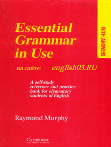 Essential Grammar in Use: Elementary English Practice