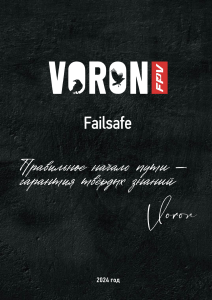 VORON FPV Failsafe: Drone Safety Manual 2024