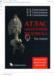 Атлас анатомии человека Том 1: Остеология, Артрология, Миология