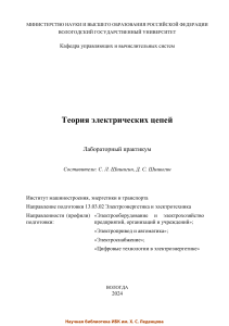 2025 shishigin theory of electricfl cir