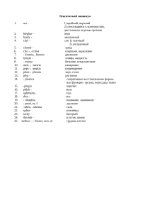 Лексический минимум медицинских терминов