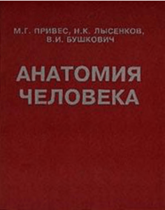 Анатомия человека: учебник для медицинских вузов