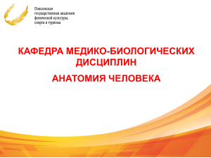 Анатомия человека: учебник по медико-биологическим дисциплинам