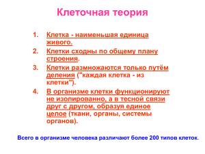 Клеточная теория: основы цитологии