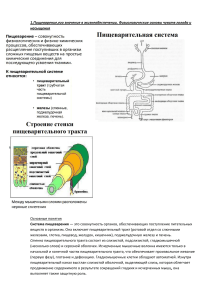 Пищеварение и физиология пищеварительной системы