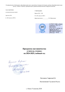 Программа наставничества &laquo;учитель-ученик&raquo; 2024-2025