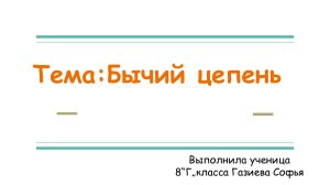 Бычий цепень: структура, жизненный цикл и заражение
