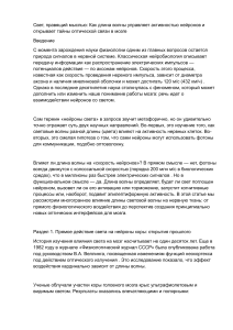 Свет и нейроны: как длина волны влияет на мозг