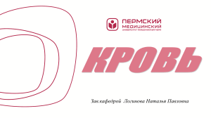 Кровь: состав, функции и клетки крови