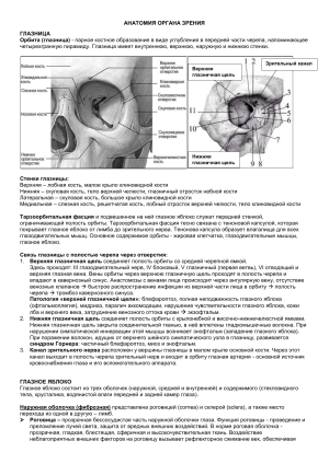 Zanyatie 1 Anatomia
