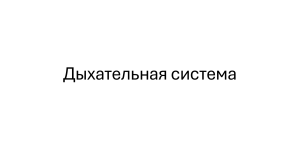 Дыхательная система: строение и функции органов