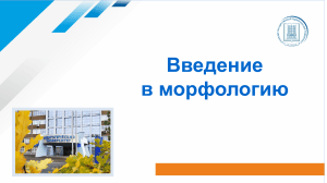 Введение в морфологию: основы морфологии русского языка