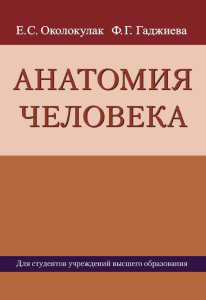 Анатомия человека: учебное пособие для медвузов
