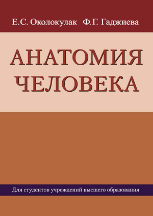 Анатомия человека: учебное пособие для медвузов