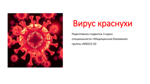 Вирус краснухи: таксономия, морфология, заболевание