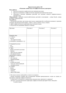 Практическая работа по описанию растений по морфологии