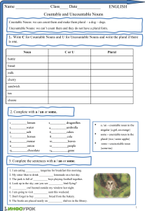 Countable and Uncountable Nouns Worksheet