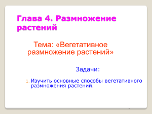 Вегетативное размножение растений: основные способы