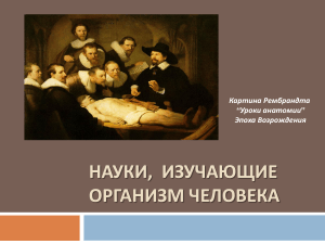 Науки, изучающие организм человека: анатомия, физиология, психология